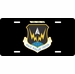 U.S. Air Force Space Warfare Center License Plate