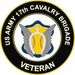 U.S. Army 17th Cavalry Brigade Veteran Sticker Decal