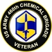 U.S. Army 460th Chemical Brigade Veteran Sticker Decal