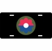 U.S. Army 9th Infantry License Plate (Clearance)