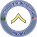U.S. Army Cold War E-2 Private Rank Insignia Veteran Decal