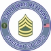 U.S. Army Cold War E-7 Sergeant 1st Class Rank Insignia Veteran Decal