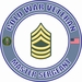 U.S. Army Cold War E-8 Master Sergeant Rank Insignia Veteran Decal