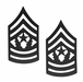 U.S. Army Command Sergeant Major Black Metal Collar Rank Insignia