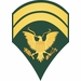U.S. Army E-6 Specialist Decal