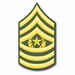 U.S. Army E-9 Command Sergeant Major Vinyl Sticker