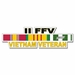 U.S. Army II FFV Vietnam Veteran Window Strip Decal