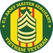 U.S. Army Master Sergeant Vietnam Veteran Decal