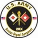 U.S. Army MOS 25X Senior Signal Sergeant