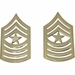 U.S. Army Seargent Major Collar Insignia