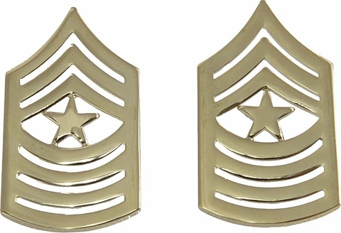 U.S. Army Seargent Major Collar Insignia