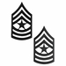 U.S. Army Sergeant Major Black Metal Collar Rank Insignia
