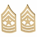 U.S. Army Sergeant Major Gold Collar Rank Insignia