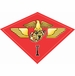 U.S.M.C. 1st Marine Air Wing  Vinyl Transfer Decal