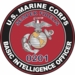 U.S.M.C. MOS 0201 Basic Intelligence Officer Decal