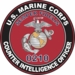 U.S.M.C. MOS 0210 Counter Intelligence Officer Decal