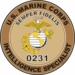 U.S.M.C. MOS 0231 Intelligence Specialist Decal