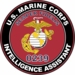 U.S.M.C. MOS 0239 Intelligence Assistant Decal