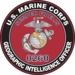 U.S.M.C. MOS 0260 Geographic Intelligence Officer Decal
