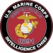 U.S.M.C. MOS 0291 Intelligence Chief Decal
