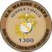 U.S.M.C. MOS 1300 Basic Engineer Construction and Equipment Decal