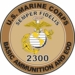 U.S.M.C. MOS 2300 Basic Ammunition and EOD Decal