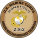 U.S.M.C. MOS 2362 Ground Nuclear Ordnance Technician Decal