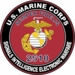 U.S.M.C. MOS 2510 Signals Intelligence Electronic Warfare Decal