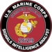 U.S.M.C. MOS 2629 Signals Intelligence Analyst Decal
