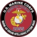 U.S.M.C. MOS 2855 Marine Air Ground Intelligence Systems MAGIS Decal