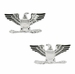 U.S.M.C. Colonel's Collar Rank Insignia