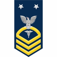 U.S. Navy E-9 Gold Rate Decal Stickers Thumbnail Illustration