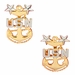 U.S. Navy Master Chief E9 Collar Rank Insignia