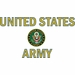 United States Army Vinyl Transfer Window Strip