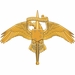 United States Marine Corps Forces Special Operations Command (MARSOC) Decal