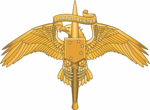 United States Marine Corps Forces Special Operations Command (MARSOC) Decal