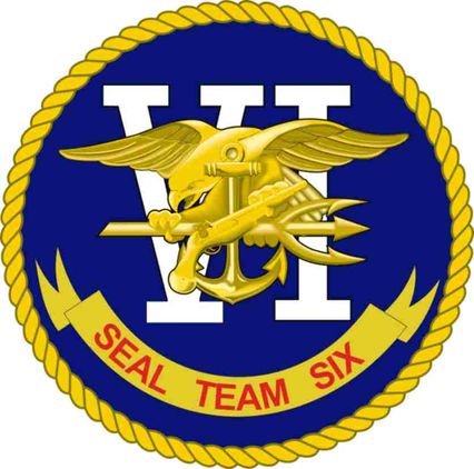 United States Navy Seal Team 6 Decal