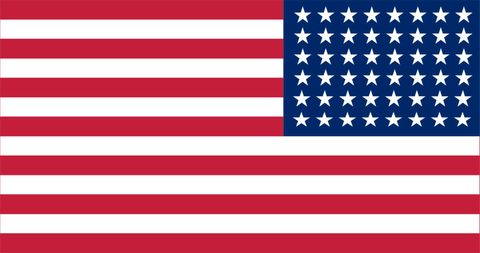United States of America 48 Star Reversed Decal