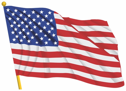 UNITED STATES WAVING FLAG VINYL TRANSFER DECAL