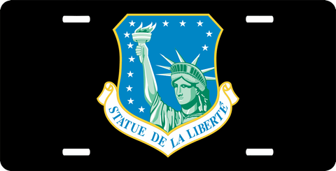 U.S. Air Force 48th Fighter Wing License Plate