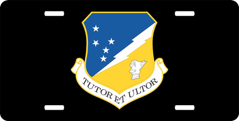 U.S. Air Force 49th Fighter Wing 1995 License Plate