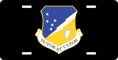 U.S. Air Force 49th Fighter Wing License Plate