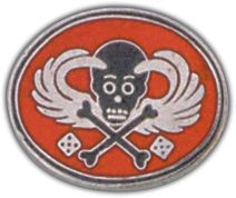7th Rangers Lapel Hat Pin