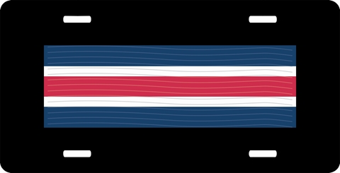 U.S. Army Reserve Component Overseas Training Ribbon License Plate