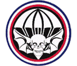 U.S. Army Widowmakers 502nd Division Sticker Decal