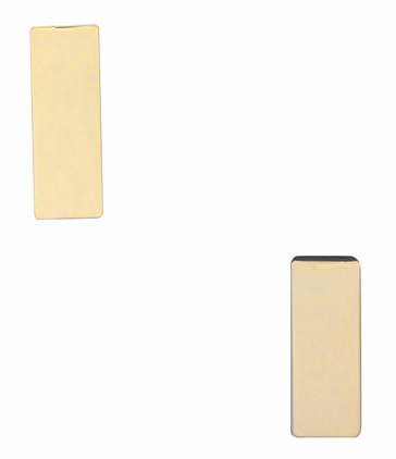 U.S.M.C. 2nd Lieutenant's Collar Device Rank Insignia