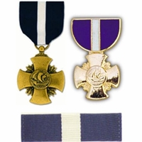 US Navy Medals, Ribbons & Pins Thumbnail Illustration