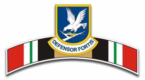 USAF Military Police Defensor Fortis Iraq Ribbon Sticker Decal