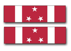 USAF Philippine Defense Ribbon Decal