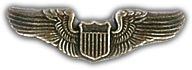 USAF Pilot Wings 1.25" Lapel Pin